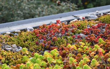 the cost of Serrington green roof installation