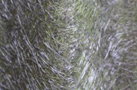 Serrington fibreglass roof work